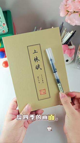 写上林赋,得意中人#上林赋 #写上林赋得心上人 #520 #上林赋全文 #手写书
