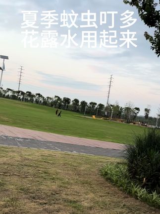 #dou上热门 #花露水妙用 #强烈推荐 #夏季蚊虫叮咬 #自用好物推荐