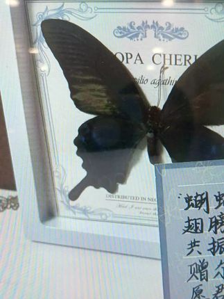 减龄#减龄穿搭 #老爹裤#百搭 #百搭裤子 #高腰牛仔裤