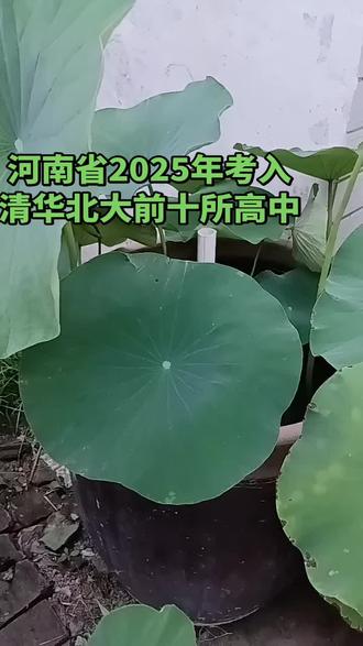 河南省2025年考入清华北大的前十所高中