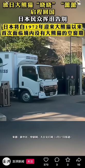 晓晓蕾蕾双胞胎兄妹俩回国后,日本将处于熊猫空窗期,欢迎宝贝们回家过年~抱抱🤗#晓晓蕾蕾大熊猫回国 #国宝大熊猫 #熊猫回国 #大熊猫晓晓蕾蕾