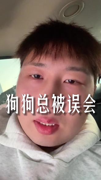 不要再误会你家狗狗了#养狗经验分享