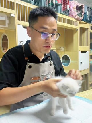 宠物用品赛道文案素材 - 猫狗驱虫米尔被窝次路过你 自己在家做驱虫真的没有那么麻烦,一起给毛孩子做驱虫吧,操作方便省心,趁现在活动赶紧多囤一些。#驱虫 #宠物驱虫#萌宠好物 #养猫经验分享 #绦虫 - 卖猫养家1作品