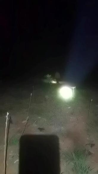 4月27日蜈蚣开会 飞蚁漫天飞,蜈蚣遍地跑