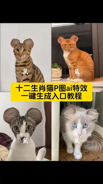 超火的十二生肖猫p图ai特效生成入口教程#十二生猫#十二生肖猫咪#十二生肖之萌宠的新年幻想 #十二生肖猫猫版 #剪映 十二生肖猫咪特效 十二生肖小猫p图 小狗十二生肖怎么p 十二生肖猫猫版特效 猫咪十二生肖设计 把猫咪p成十二生肖 十二生肖猫咪 猫咪十二生肖绘画 猫想加入十二生肖 十二生肖特效ai 十二生肖ai指令入口 十二生肖之萌宠的新年幻想ai指令 十二生肖猫咪版ai生成 十二生肖之ai变身 十二生肖之狗狗的幻想 ai生成生肖萌宠图片 萌宠生肖新年创意 十二生肖p图ai 十二生肖猫猫版特效 十二生肖猫咪版 十二生肖猫咪图片 十二生肖猫咪形象 十二生肖猫咪角色
