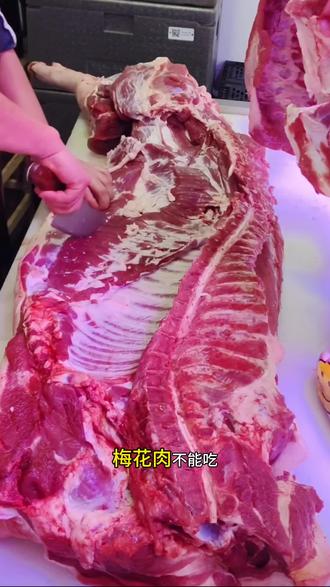 梅花肉到底能不能吃?#猪肉分享知识 #拒绝废话#科普#冷知识#省流 #真实分享计划 #猪肉佬 #dou上热门🔥