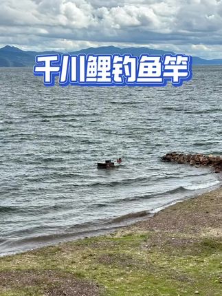 千川鲤钓鱼竿中秋特惠 #钓竿 #钓鱼 #钓鱼竿 #渔具 #鱼竿