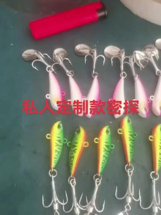 私人定制款密探