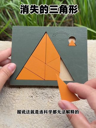 这个消失的三角形 你看懂了吗?#烧脑#动手动脑 #智力开发 #益智拼图