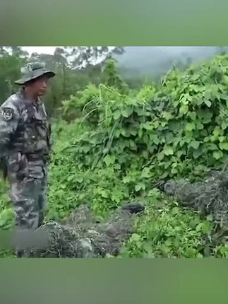 致敬女兵最可爱的人