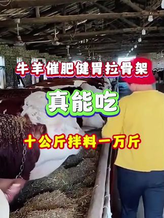 #牛羊养殖 #养牛技术 #养牛人 #农村养牛 #每天分享牛羊养殖小知识