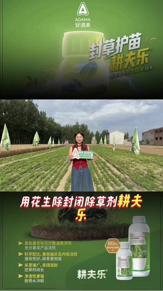 安全不伤苗,控草超干净的除草剂,你见过吗?#花生除草剂 #花生除草剂药害 #花生安全除草 #安全除草 #抖音助农