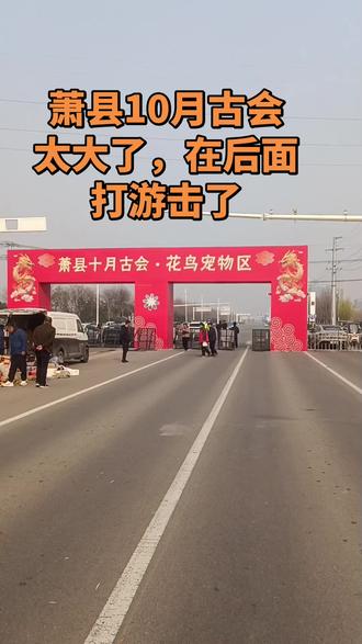 #人太多了 #赶大集 #摆摊创业 #庙会 在周边这个庙会是最大的。地租贵,不敢参与