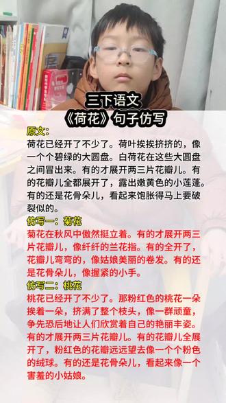 三年级下册语文课文《荷花》句子仿写#句子仿写#三下语文#每天学习一点点