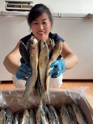 吃咸梭鱼的季节,蒸炸炖都好吃,还是小时候的味道#感谢抖音我要上热门