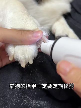 汪扑充电式LED强劲大功率大小型犬用品猫咪宠物磨甲器猫咪剪指甲#磨甲器 #宠物磨甲器 #宠物磨甲器推荐 #狗狗磨甲器 #猫咪磨甲器