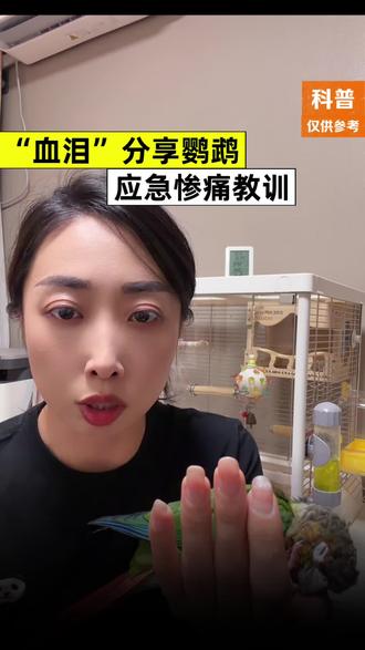 血泪分享鹦鹉应激惨痛教训#鹦鹉#鹦鹉应激#鹦鹉养护#鹦鹉日常