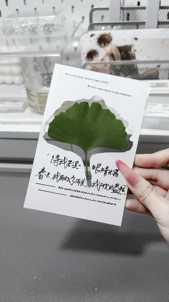 银杏叶卡片教程
#手写#春天