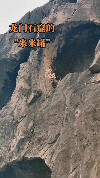 终于也拍到了龙门石窟佛龛里盛开的小花,孤独又明媚#龙门石窟#洛阳旅游