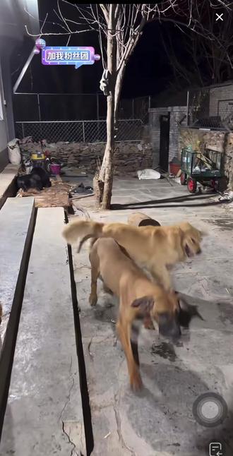 军粮的今日直播#好孩子#蒜皮#骏良