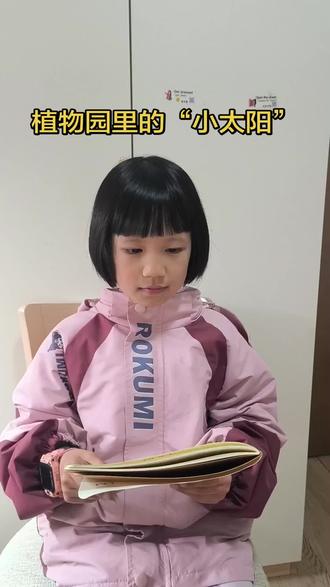 小朋友今天朗读了自己写的作文,《植物园里的“小太阳”》。#小学生日常 #小学生朗诵 #每日朗诵 #小学生作文 #黄金菊
