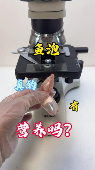 鱼泡真的有营养吗?#科普