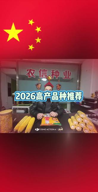 2026年黑龙江主导品种推荐
合玉47#合玉47 #高产玉米种子