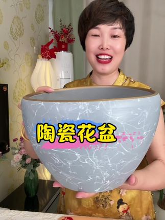 #好物推荐🔥 #陶瓷花盆 #加厚陶瓷花盆 #大号陶瓷花盆 #花盆