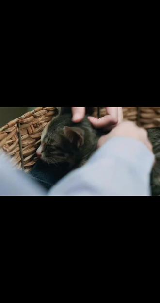 猫猫:呼吸 小狗:😍#泰百#女校风云