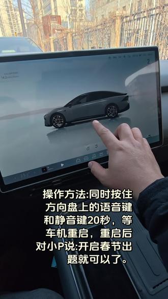 #小鹏车机 #小鹏车机春节主题#小鹏的小马 #小鹏车机怎么弄小马