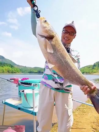曾大盆快意江湖大盆鲢鳙鱼饵黑坑休闲野钓花鲢白鲢专用饵料窝料