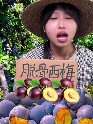 【新疆直发】正宗新疆西梅新鲜水果产地直发鲜果孕妇应当季酸甜#西梅