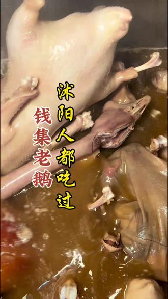 钱集老鹅,沭阳人还有没吃过的嘛#沭阳特产#沭阳美食#钱集老鹅