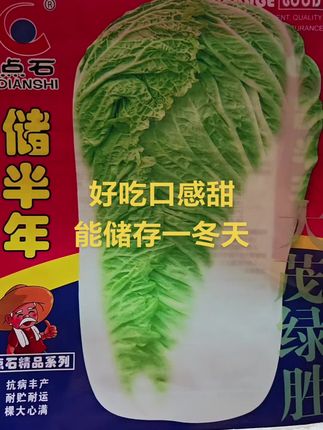 #嫩白菜香白菜好吃的白菜#顺达菜籽甄选