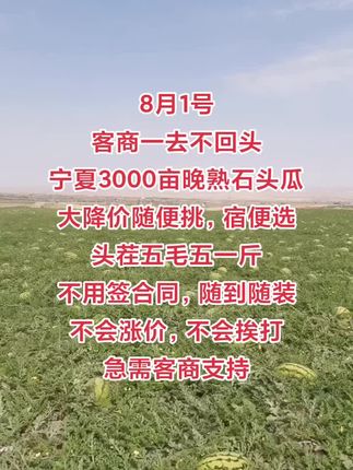 宁夏硒砂瓜产区,无法言说,不知咋说,我们 也希望瓜农多卖钱,继续涨价吧!最后一车我们走了。瓜留给你们自己卖吧,实在吃不动了# 宁夏西瓜#石头瓜宁夏#中卫硒#抖音助农扶农   砂瓜#硒砂瓜