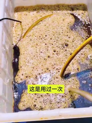 #养殖 #水产养殖 #水产人 #牧饲康百亩复合肥水王#鱼虾蟹养殖