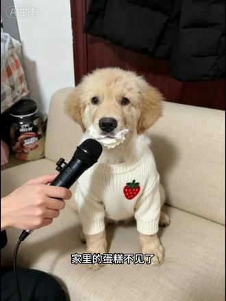 是谁偷吃了蛋糕🍰?#ai #小狗狗能有什么坏心思 #偷吃