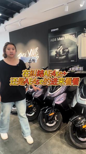AE4se+跟AE4se不懂怎么选?#极核 #极核电动
