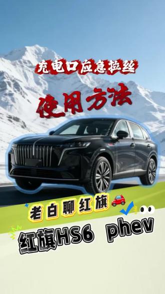 慢充锁枪你不要慌,这条视频能帮你忙。充电口应急拉丝你会用了吗#车辆应急知识 #充电桩 #应急拉丝