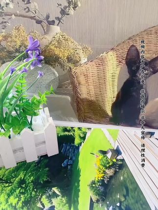 #好物推荐#国货之光#超便宜超划算 @抖音小助手 @DOU+小助手