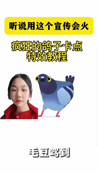 来喽来喽,还不会这个疯狂的鸽子卡点特效视频的赶紧跟着步骤做起来吧#剪映#疯狂的鸽子卡点#导入照片#剪同款#疯狂的鸽子卡点特效教程