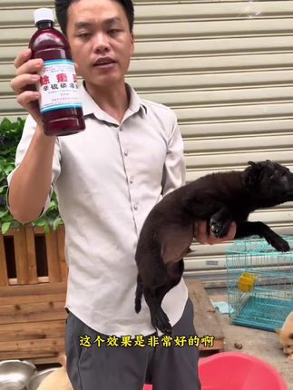 宝宝特别爱笑是高智商的表现,长大后大多会更加聪明,笑对于婴儿的大脑发育是一种良性刺激,所以父母要多逗孩子笑#宝宝的笑容也太治愈了 #爱笑的宝宝惹人爱 #萌娃 #宝爸宝妈 #人类幼崽