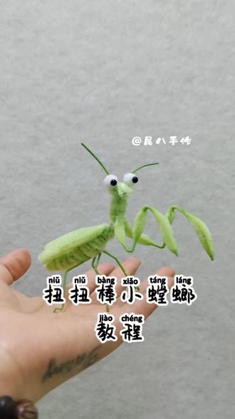 教程们,我带着宝子回来啦#扭扭棒手工教程 #创作者中心 #创作灵感