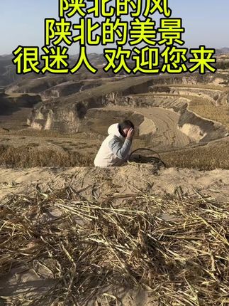 #陕北小米