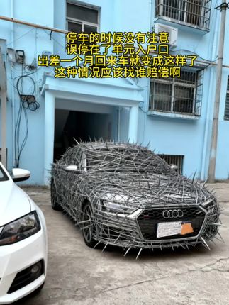 停车的时候没有注意误停在了单元入户口,出差一个月回来车就变成这样了,这种情况应该找谁赔偿啊#快来围观