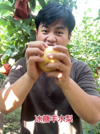 #新鲜采摘 #应季水果 #原产地 #优质水果 #助农水果 沙土地的冰糖丰水梨吃过吗