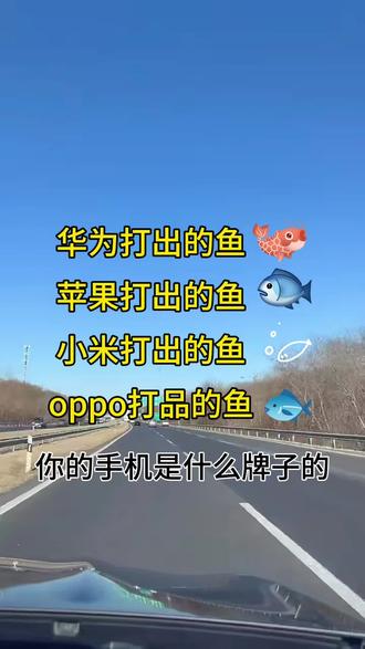 你的手机是什么牌子的