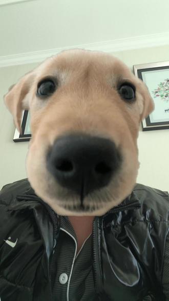 手机还在保如何去店内更换免费电池?今天来讲一讲!#日常vlog #vivo #OPPO #经验分享 #换电池