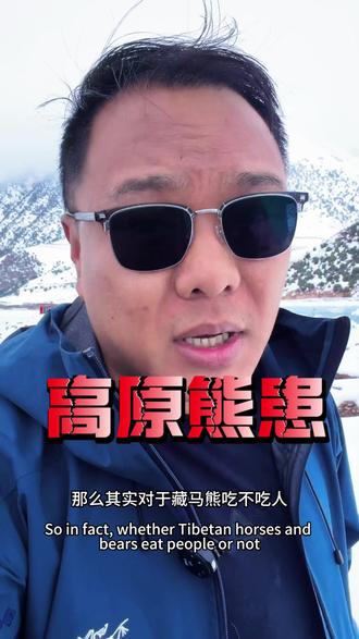 高原熊患 藏马熊辟谣争议!高原本地人说出实话#高原熊患 #藏玛熊 #熊伤人