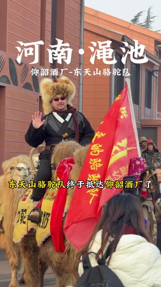 火遍全网的新疆驼队终于到渑池了!仰韶酒厂的欢迎仪式好暖心!! #东天山骆驼队 #仰韶酒厂 #人山人海太热闹了 #渑池旅游 #重走丝绸之路 @抖音小助手